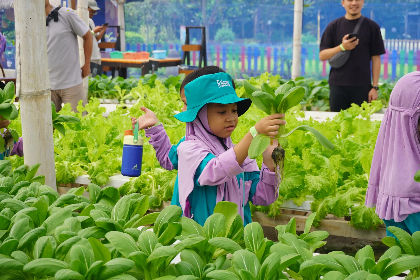 Siswa TK Bintang Madani berkebun