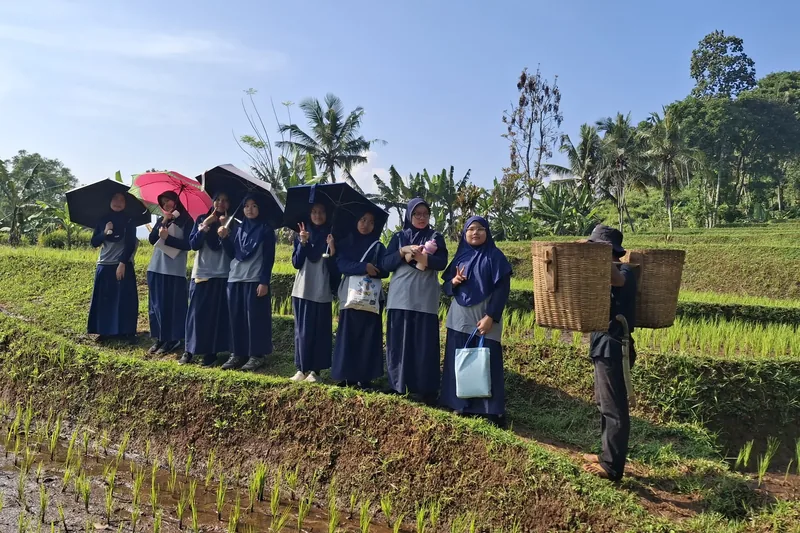 Murid SMP berjalan menyusuri pematang sawah saat kegiatan lapangan