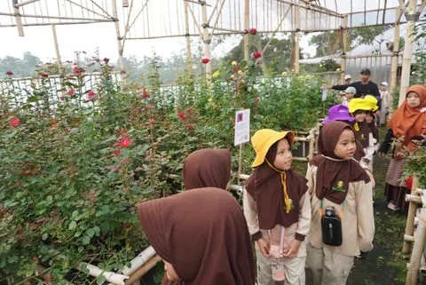 Murid SD mengamati tanaman bunga bersama pendamping