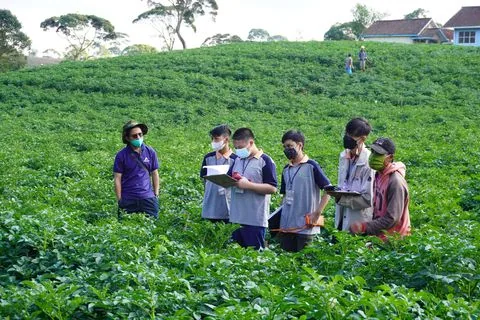 Murid SMP berdiskusi di tengah ladang saat pengambilan data
