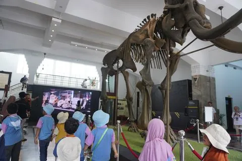 Murid TK mengamati kerangka gajah purba di Museum Geologi