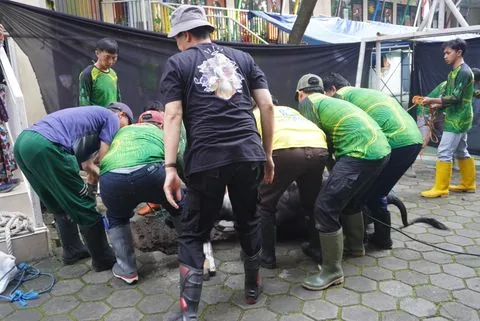 Foto berita: QURBAN 1446 H – SYGMA FOUNDATION